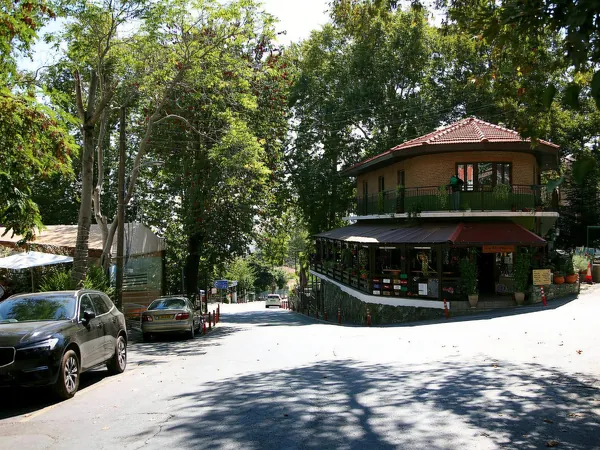Δρόμος ορεινού χωριού κάτω από ψηλά δέντρα στο Τρόοδος