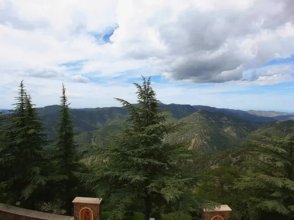 Pine-covered Troodos ridges seen from Throni