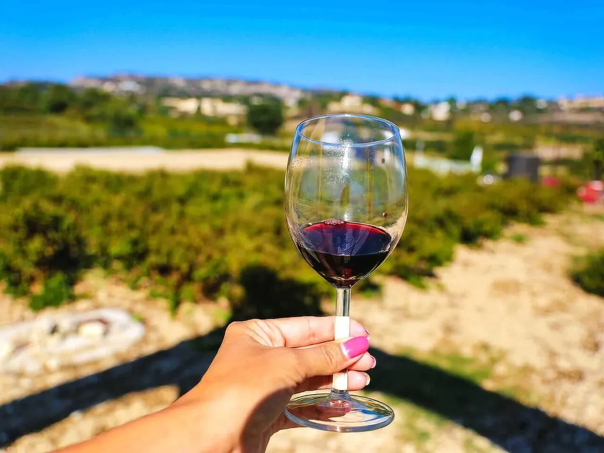 Glass of red wine held up over a vineyard