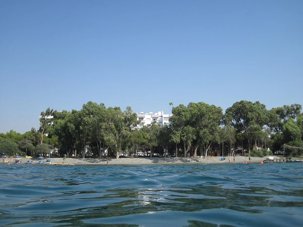 Sea view of Dasoudi beach with eucalyptus trees behind, Germasogeia