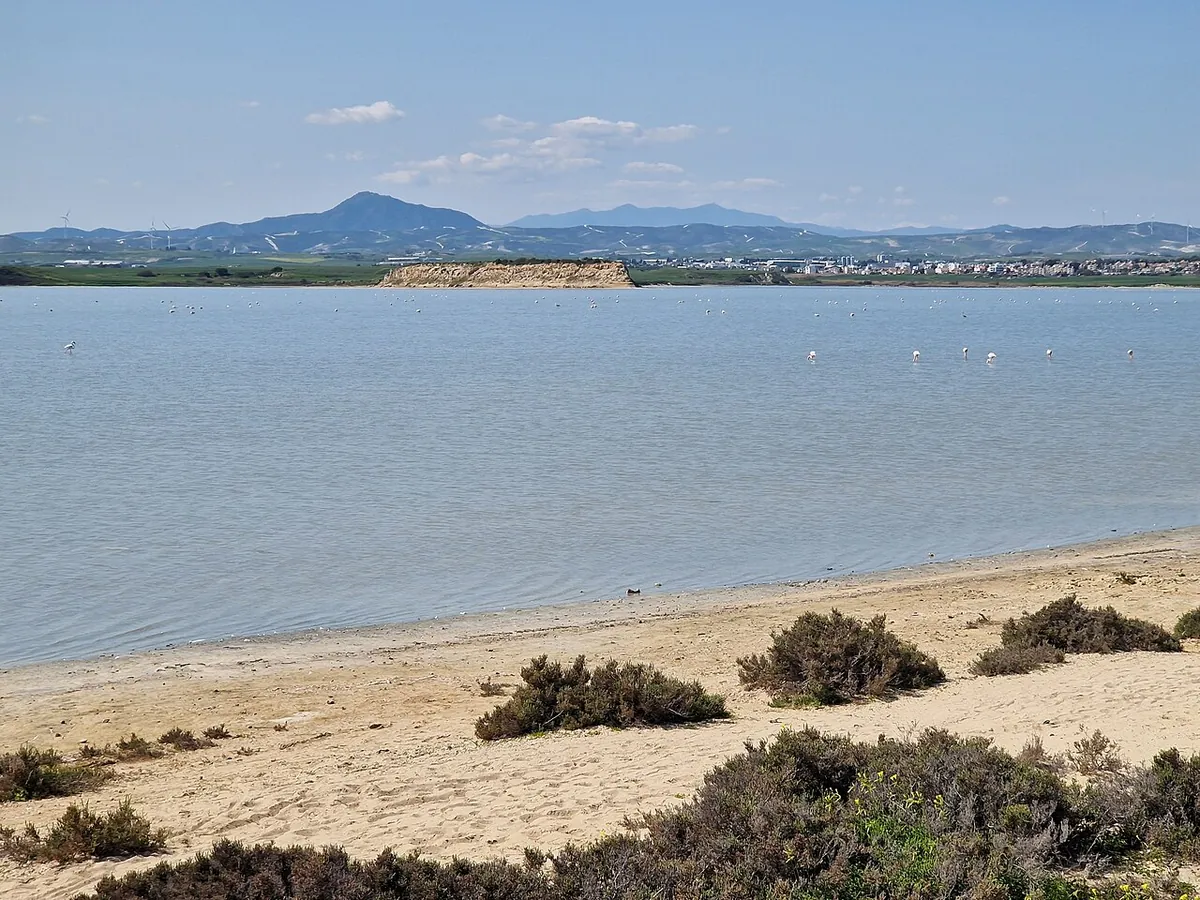 Η όχθη της Αλυκής Λάρνακας με θέα προς τα βουνά και φλαμίνγκο στο νερό