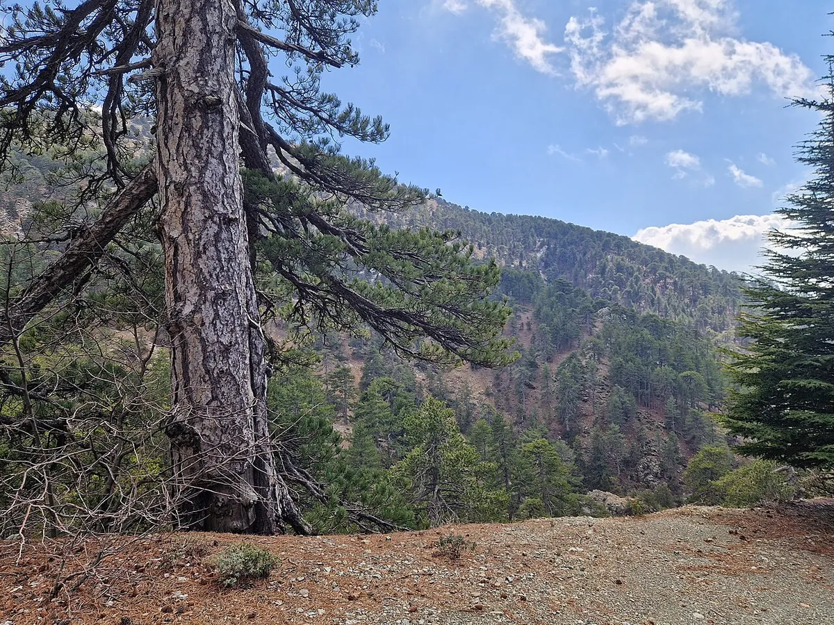 Mount Olympus, Cyprus, from north
