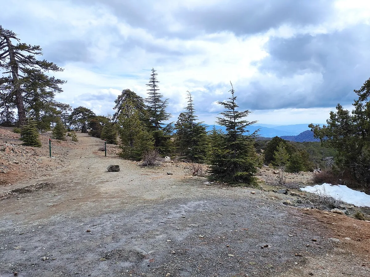 Artemisina stezka (Artemis trail), Troodos, Kypr