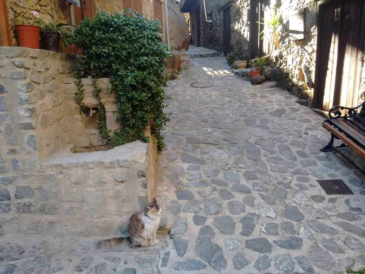 Stone-paved alley in the old quarter of Kakopetria