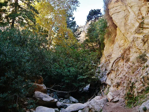 Steep limestone walls of the Avakas Gorge