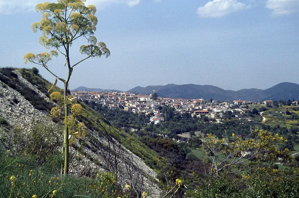 View over Pano Lefkara in the hills